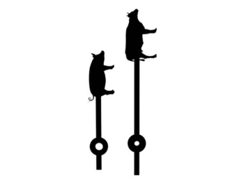 Aiguilles boucherie vache et cochon